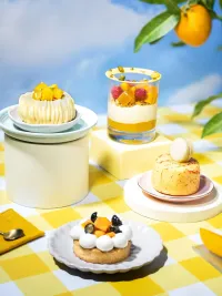 Creative & Art Direction