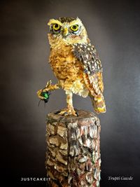 Custom Designer Cakes