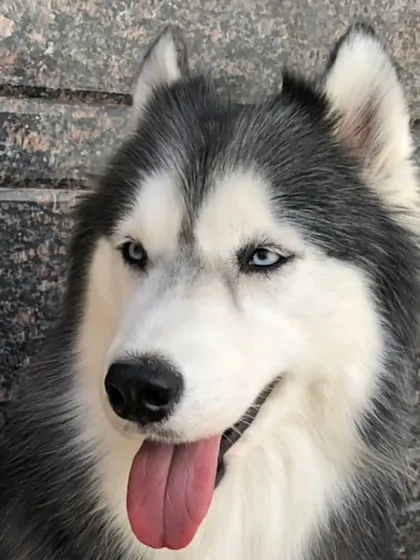 Those blue eyes can melt anyone's heart.