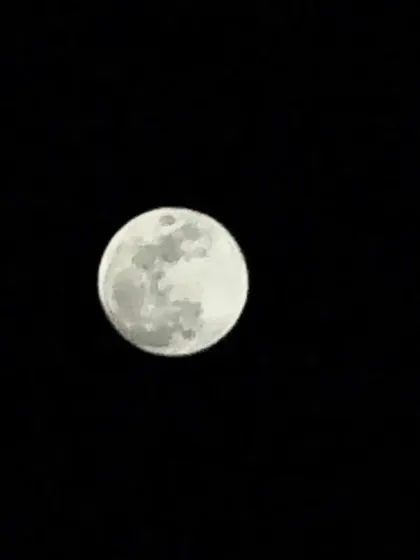 The beautiful full moon on Holi night. I always encourage everyone to step out and spend some time with the moon; it knows how to work its magic.