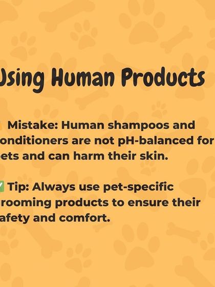 Oh My Dawg - Pet Grooming Services Pet Care Tips from Our Experts photo 10