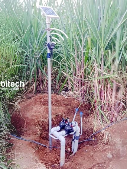 A smart irrigation system installed in a sugarcane field, using soil moisture monitoring for precise watering.