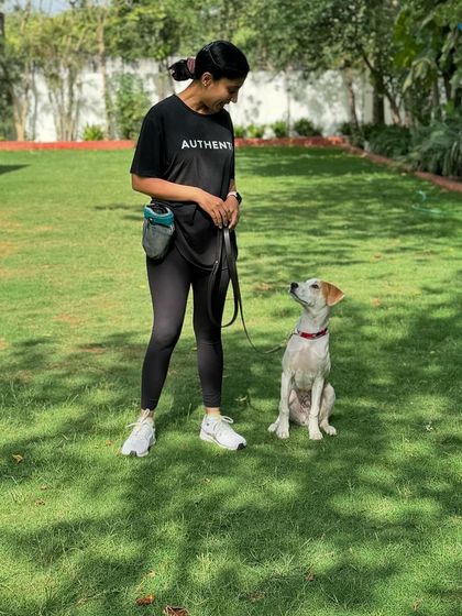 Hero, a 4-month-old rescue, during his training. He's learning basic obedience and building confidence.
