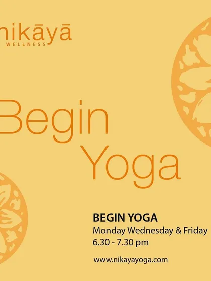Every journey begins with a single step. My 'Begin Yoga' class is a welcoming space designed specifically for newcomers or those returning to the mat, where we build a strong and safe foundation together.
