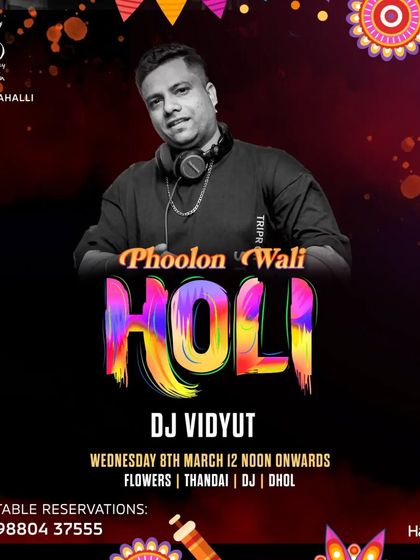 DJ Vidyut - Festival & Large Event DJ/VDJ Services Special Themed Events photo 6