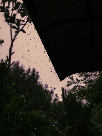 Reflections & Inspirations photo 9