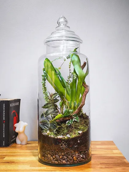 The 18-inch terrarium styled next to a stack of books, showing its scale and how it can elevate a simple corner into a beautiful vignette.