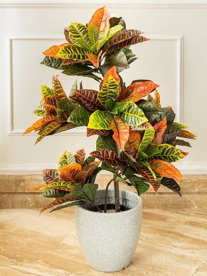 For a burst of color, I recommend this artificial croton plant. The vibrant mix of red, orange, yellow, and green on its leaves makes it a lively and eye-catching addition to your indoor garden.