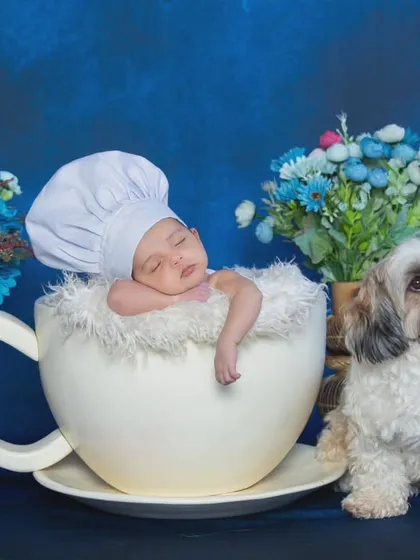 A tiny chef sleeping in a teacup, guarded by the family's furry friend. This shot shows how I love to get creative with props and even include your beloved pets in the photoshoot to make it a true family affair.