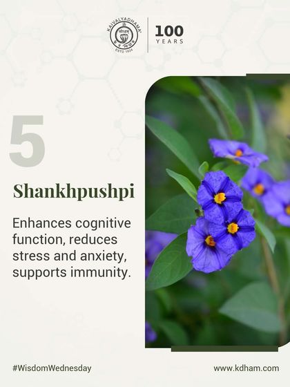 Shankhpushpi is a brain tonic that enhances cognitive function while reducing stress and anxiety. It is a key herb for supporting mental clarity and a calm nervous system.