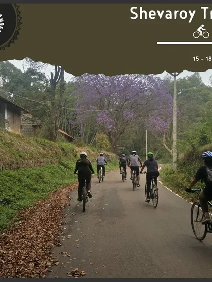 A group of cyclists enjoys a ride on a quiet, leaf-strewn road in Yercaud. Our 'Shevaroy Trails' tour is perfect for those looking to explore dense forests and coffee plantations.