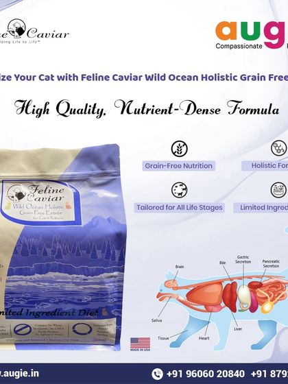 Augie Pets - Pet Supplies For Our Feline Friends: Premium Cat Nutrition photo 39