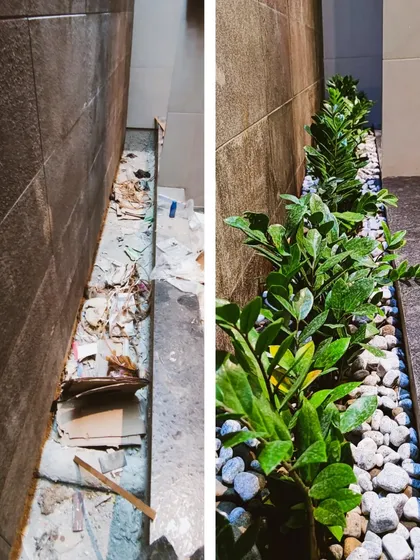 Even narrow, forgotten spaces have potential. This before-and-after shows how I cleaned up a debris-filled passage and turned it into a neat, green border with low-maintenance ZZ plants and white pebbles.