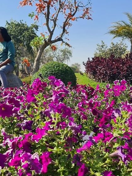 Ratnashri Landscapers - Landscape Design & Build My Journey in Nature photo 8