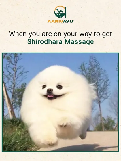 This is the feeling of pure joy and anticipation our clients have on their way to a Shirodhara session. Knowing that deep peace and relaxation await is the best feeling.