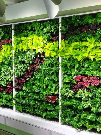This indoor vertical garden serves as a living art installation. We designed this multi-panel green wall with a diverse palette of plants, including various shades of green and pops of red, to create texture and visual interest in a corporate or residential lobby.