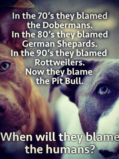 For decades, society has blamed Dobermans, German Shepherds, Rottweilers, and now Pit Bulls. The issue has never been the breed. It's time we look at the human behind the leash.