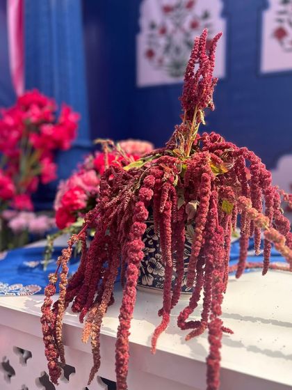 Colorful Beginnings: Haldi & Mehendi photo 36