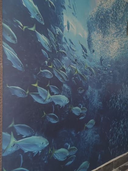 Ansari - Wallpaper & Mural Installation Nature & Floral Designs photo 47