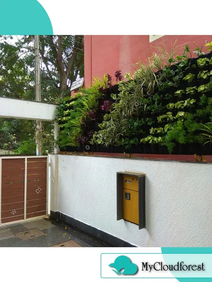 For this home, I designed and installed a lush vertical garden to bring life to a plain exterior wall. This living wall acts as a natural air purifier and a stunning piece of art, showcasing how greenery can be integrated into any space, no matter the size.