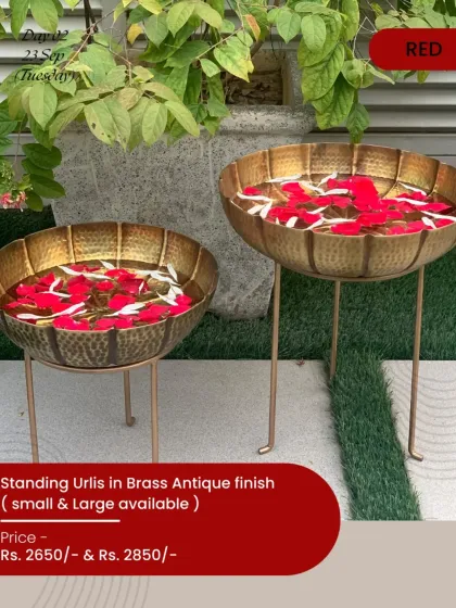 My standing urlis in a brass antique finish are perfect for adding a touch of grandeur. Fill them with water and red flowers for a vibrant and traditional welcome display.