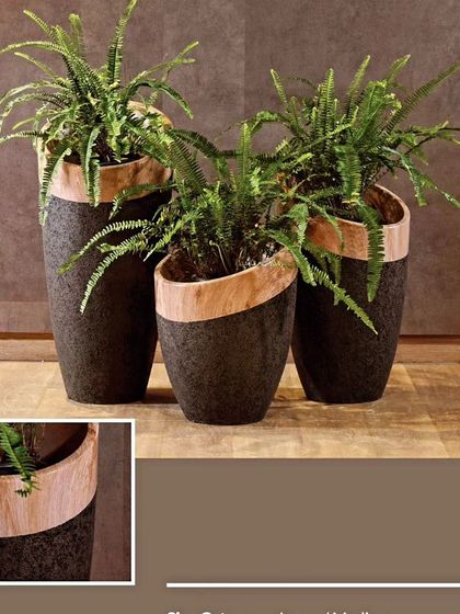 We love planters that mix materials. This set features a textured black base with a natural wood rim, creating a beautiful contrast that is both rustic and contemporary.