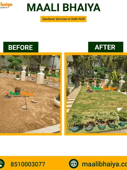 A before and after look at a home garden in Delhi. The space was just dry soil before I started. I prepared the ground, laid a fresh green lawn, and added a variety of potted plants to create a beautiful and usable family garden.