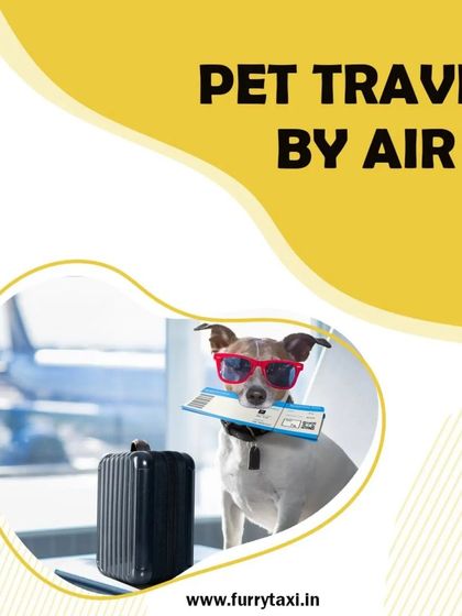 I also assist with the logistics of pet travel by air, providing safe transport to and from the airport.