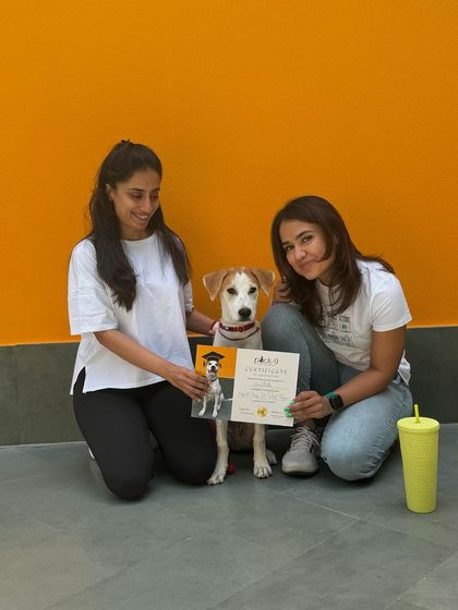 Hero the Indie pup celebrating his graduation from our Puppy Pre-School program with his family.