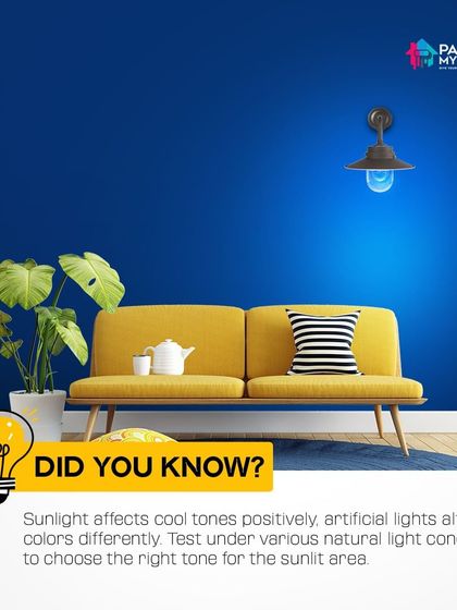 Paint My Walls - Painting Services Painting 101: Tips, Facts & Myths photo 3