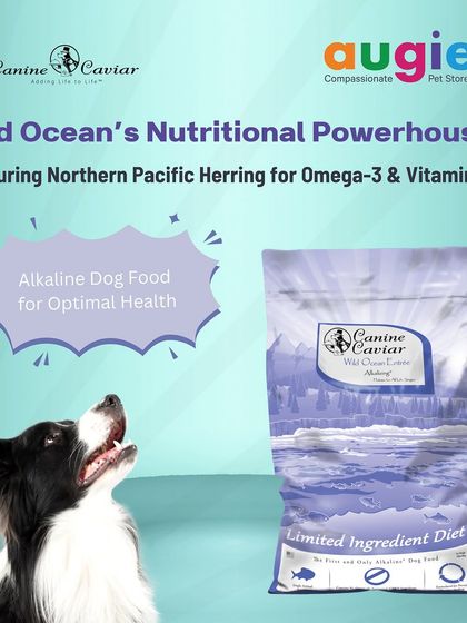 Augie Pets - Pet Supplies Fuel for Happy Hounds: Wholesome Dog Nutrition photo 19