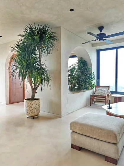 This home was a dream project, with a clear brief: let the plants be the decor. A sculptural Dracaena adds life and form to this minimalist space, proving that sometimes, nature is the only ornamentation you need.