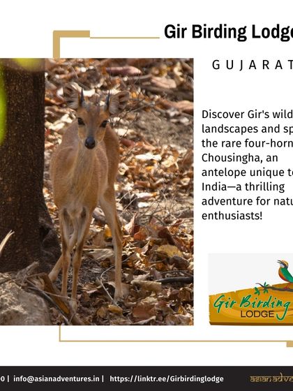 Our Mountain Lodges & Retreats photo 17