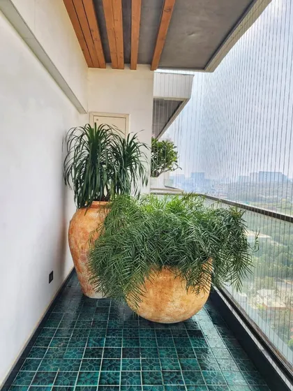 These bold, 4-foot tall and 3-foot wide planters make a huge statement in our client's Hyderabad home. The combination of a tall Draco and a sprawling fern creates a dynamic, multi-level green corner.