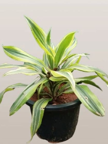 Smart Solutions for Every Space photo 6