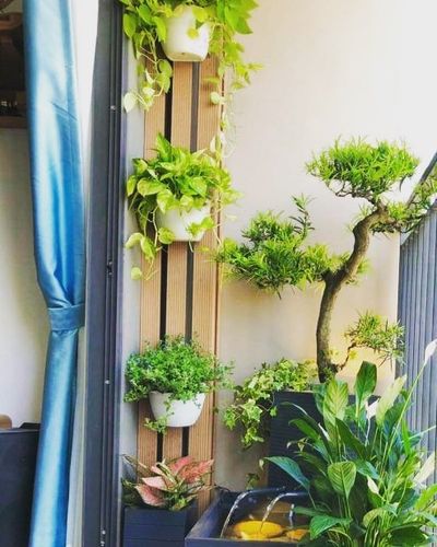 Indoor Plant Decor