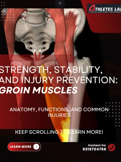 This infographic series introduces the importance of the groin muscles (adductors) for strength, stability, and injury prevention. Despite their crucial role in agility and speed, they are often a neglected and injury-prone muscle group.