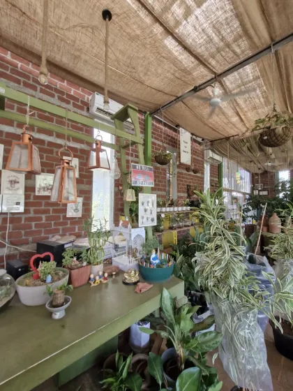 A glimpse of our counter, where little terrariums and plants greet you. The brick wall and warm lanterns add to the rustic, cozy charm.