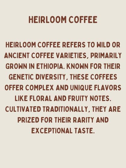 A definition of heirloom coffee, which refers to wild or ancient coffee varieties, primarily from Ethiopia, prized for their rarity and taste.