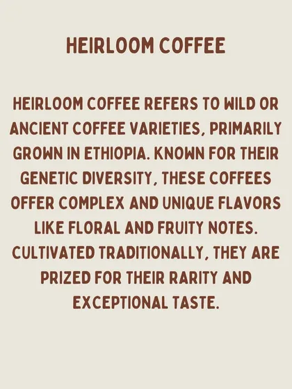 A definition of heirloom coffee, which refers to wild or ancient coffee varieties, primarily from Ethiopia, prized for their rarity and taste.