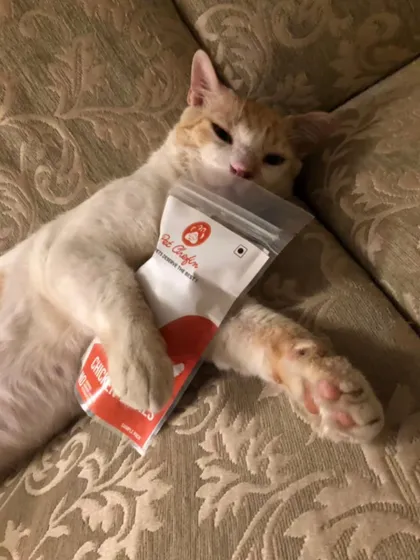 Find someone who holds you the way this kitty holds their favorite bag of Pet Chefin treats. This is pure, unadulterated love for single-ingredient, natural goodness.