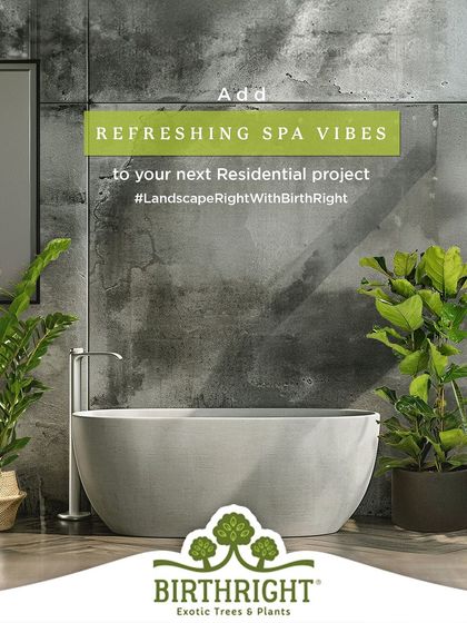 Add refreshing spa vibes to your next residential project. I use plants like the ZZ plant and Fiddle Leaf Fig to turn bathrooms into a personal oasis of relaxation.