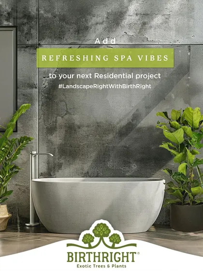 Add refreshing spa vibes to your residential project. By placing humidity loving plants like the ZZ plant, Fiddle Leaf Fig, and Snake Plant in a bathroom, we can transform it into a personal sanctuary for relaxation and rejuvenation.