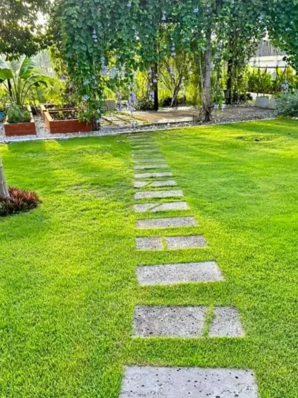 A simple stone stepper path cuts across a vibrant green lawn, leading towards a shaded area. This minimalist design is effective and easy to maintain.