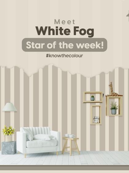 Paint My Walls - Painting Services Free Color Consultation & Inspiration photo 95