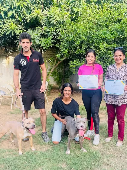 Google and Alexa, two American Bullies, are heading home today. We will miss them a lot and wish them and their owners all the best.