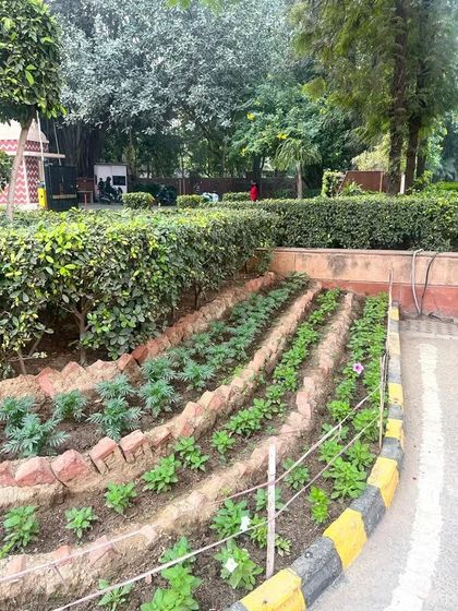 The beginning stages of a flower bed installation. This shows our methodical process, with young plants arranged in neat rows to ensure they grow into a full and organized display.