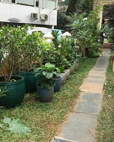 Garden Design
