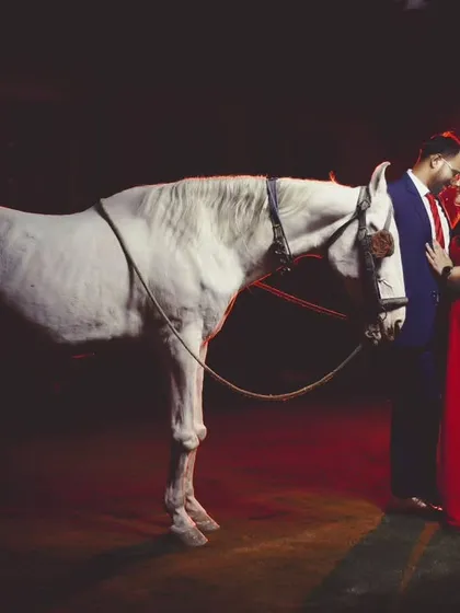 For couples wanting a truly unique pre-wedding shoot, we create epic, story-driven concepts. This dramatic portrait with a majestic white horse results in a powerful and unforgettable image that tells a love story.