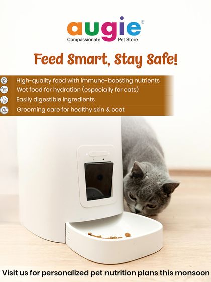 Augie Pets - Pet Supplies Health, Wellness & Pet Care Tips photo 11